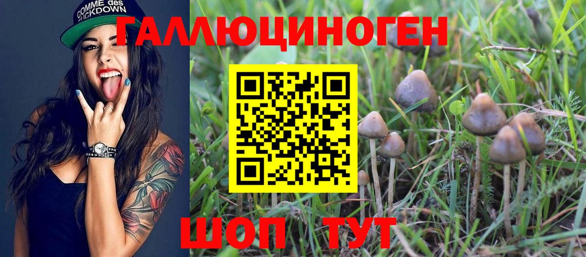 Галлюциногенные грибы прущие грибы Саяногорск
