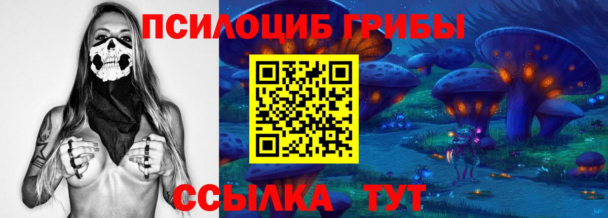Саяногорск  Псилоцибиновые грибы прущие грибы  Вход с VPN 